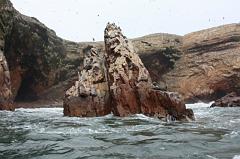 1186-Isole Ballestas,19 luglio 2013